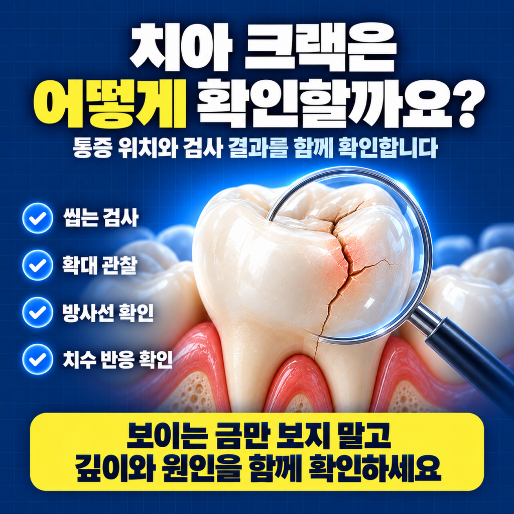 치아 균열 진단에서 씹는 검사 확대 관찰 투과광 치주검사와 영상검사를 확인하는 이미지